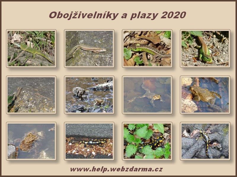Februar 2020